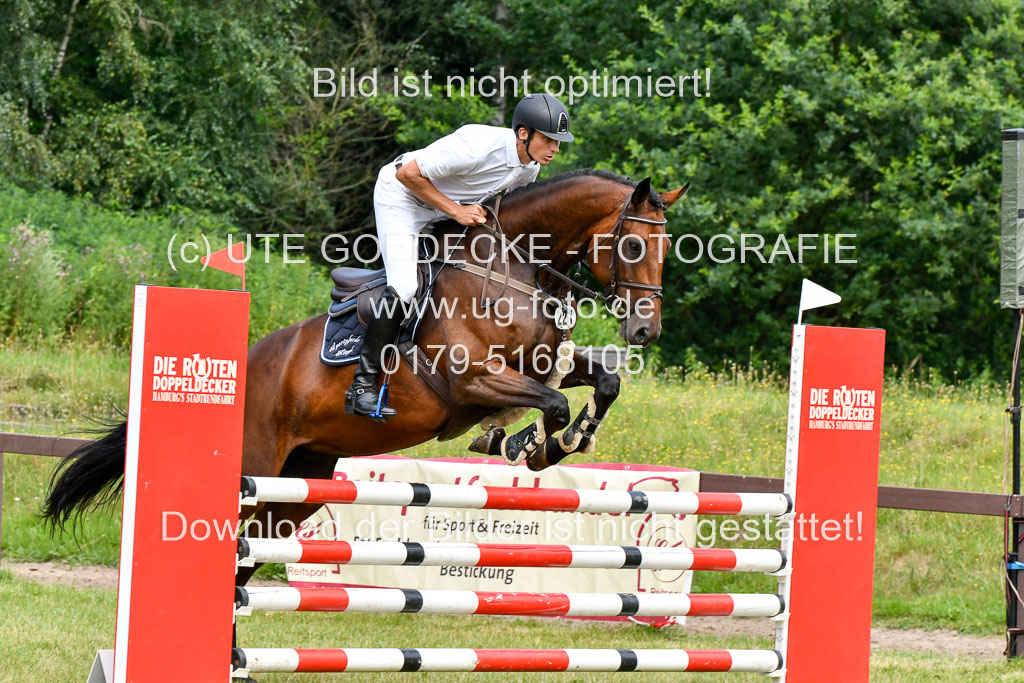 Reitturnier Harburger RV  16.7.2021 | 16072021 Springpferde L 5J_026-2 