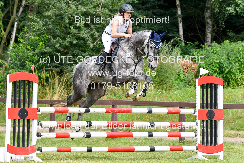 Reitturnier Harburger RV  16.7.2021 | 16072021 Springpferde L 5J_033-2 
