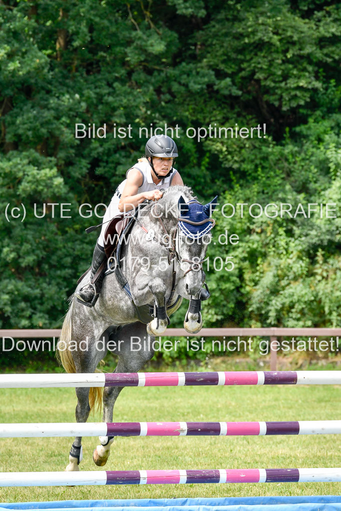 Reitturnier Harburger RV  16.7.2021 | 16072021 Springpferde L 5J_034-2 