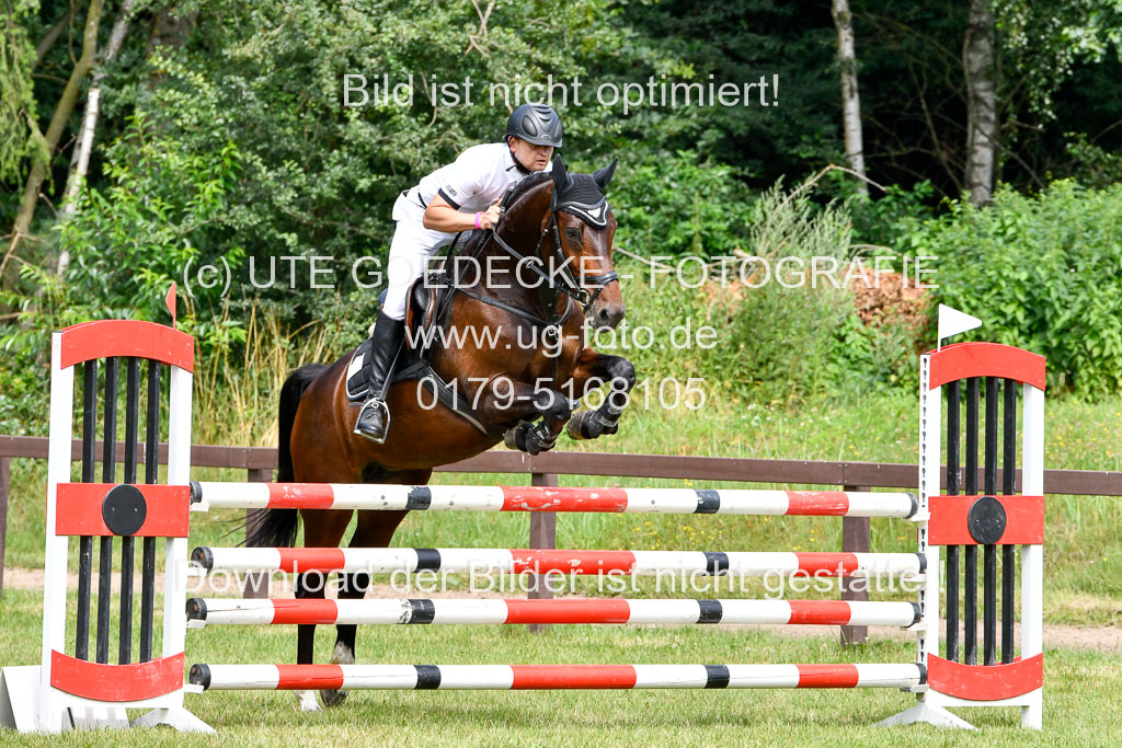 Reitturnier Harburger RV  16.7.2021 | 16072021 Springpferde L 5J_036-2 