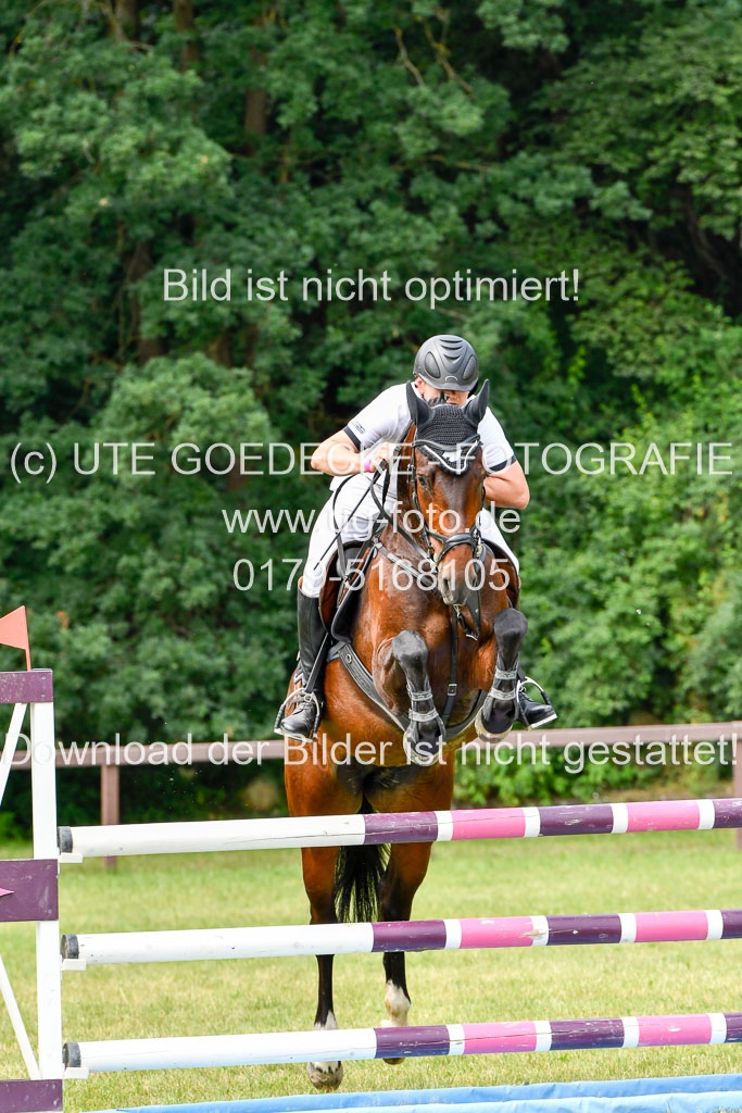 Reitturnier Harburger RV  16.7.2021 | 16072021 Springpferde L 5J_039-2 