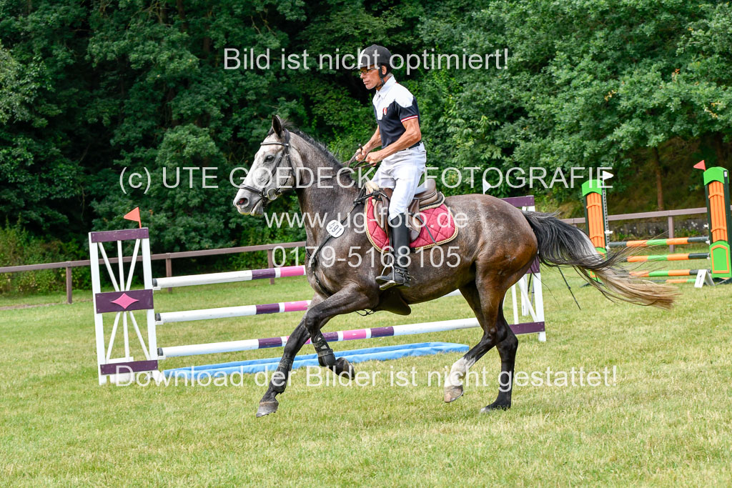 Reitturnier Harburger RV  16.7.2021 | 16072021 Springpferde L 5J_042-2 