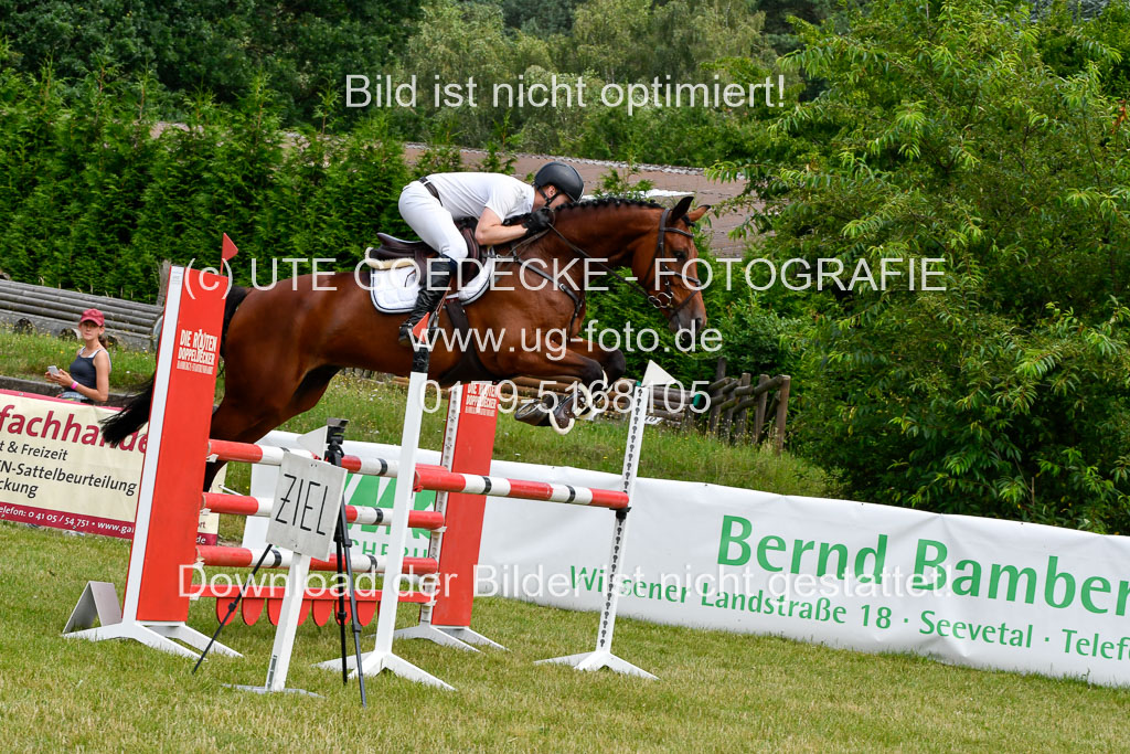 Reitturnier Harburger RV  16.7.2021 | 16072021 Springpferde L 5J_050-2 