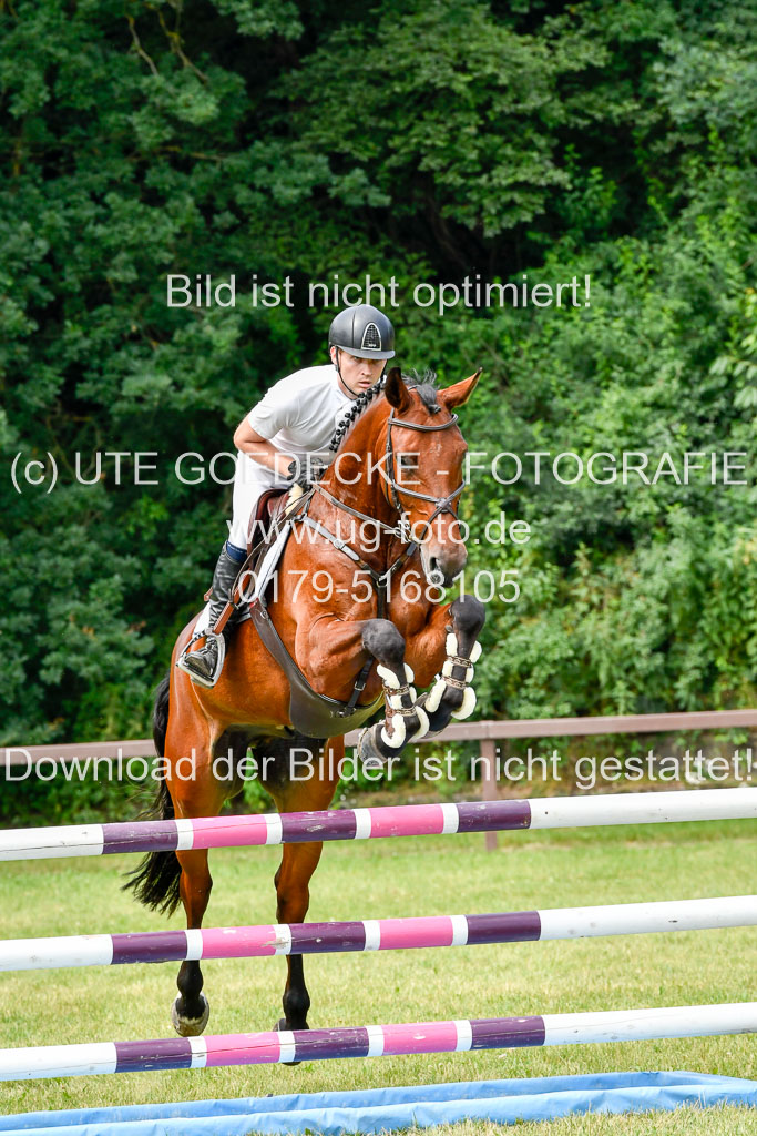 Reitturnier Harburger RV  16.7.2021 | 16072021 Springpferde L 5J_051-2 