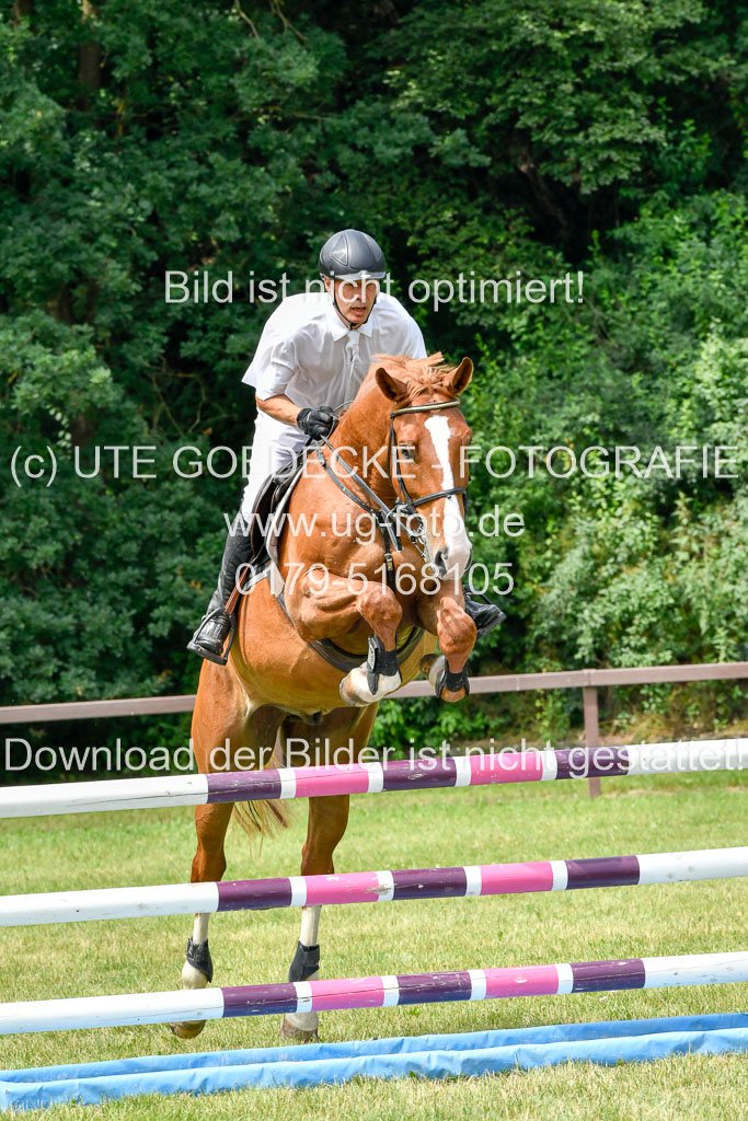 Reitturnier Harburger RV  16.7.2021 | 16072021 Springpferde L 5J_063-2 