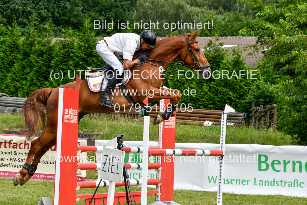 Reitturnier Harburger RV  16.7.2021 | 16072021 Springpferde L 5J_065-2 