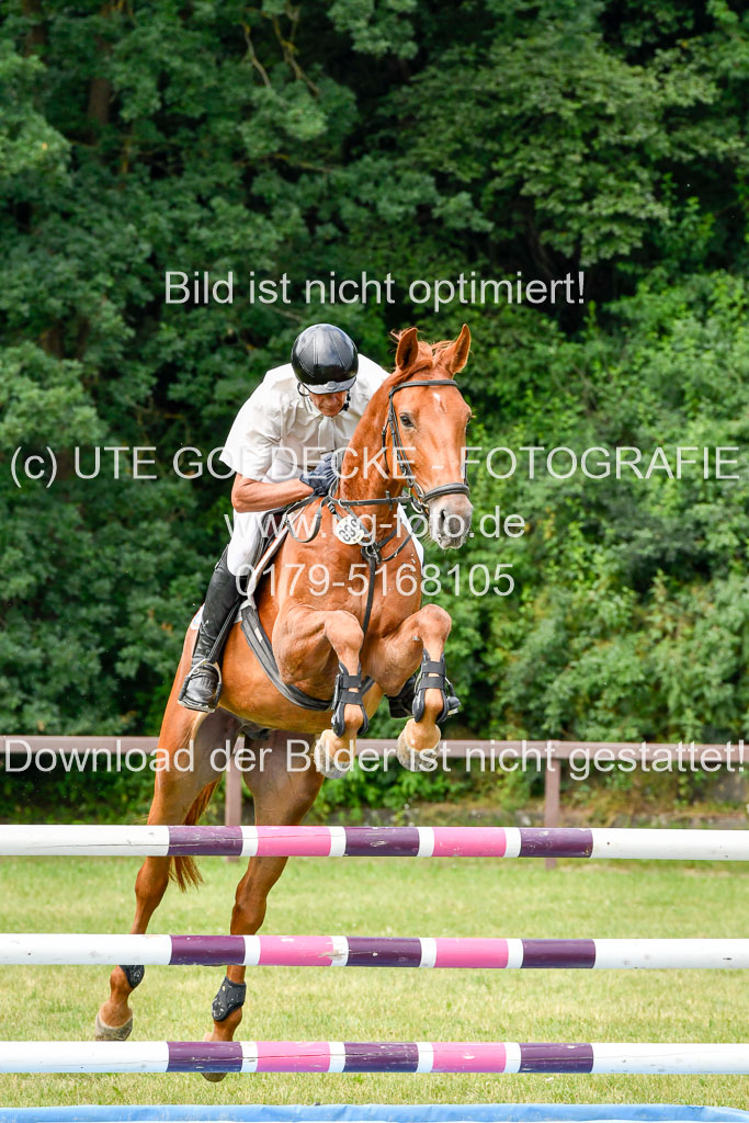 Reitturnier Harburger RV  16.7.2021 | 16072021 Springpferde L 5J_067-2 