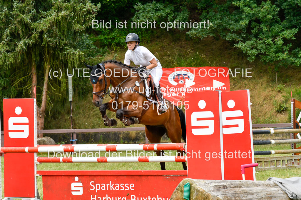 Reitturnier Harburger RV  16.7.2021 | 16072021 Springpferde L 5J_076-2 