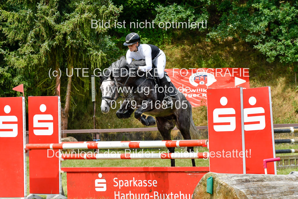 Reitturnier Harburger RV  16.7.2021 | 16072021 Springpferde L 5J_084-2 