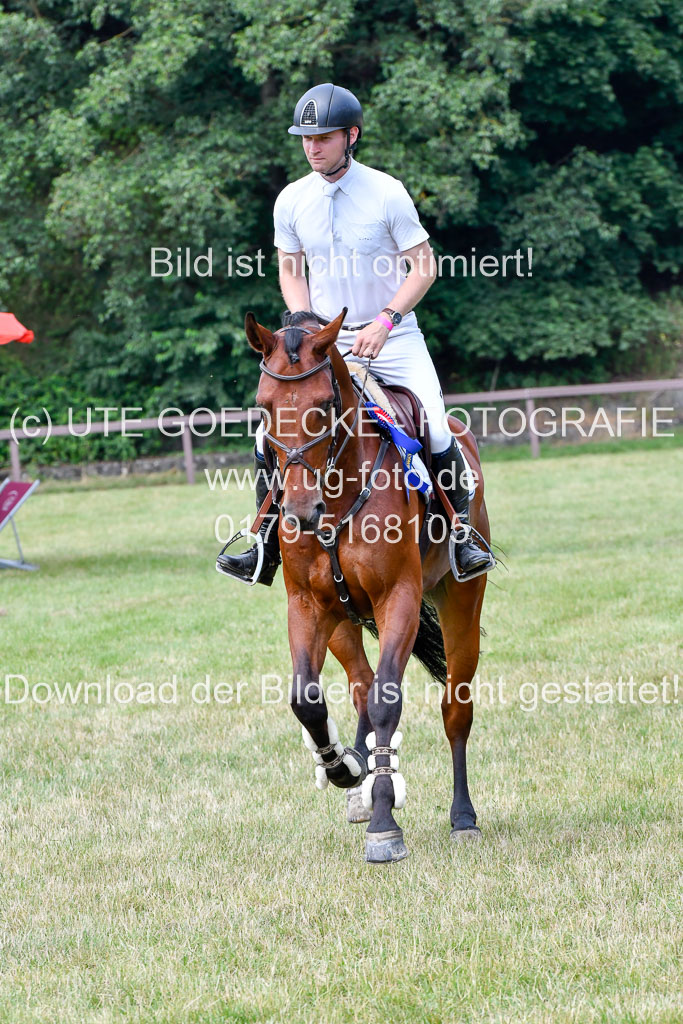 Reitturnier Harburger RV  16.7.2021 | 16072021 Springpferde L 5J_100-2 