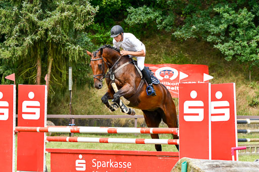 Springpferde L 5j Springpferde L 5j