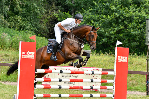 Reitturnier Harburger RV  16.7.2021 | 16072021 Springpferde L 5J_026-2 