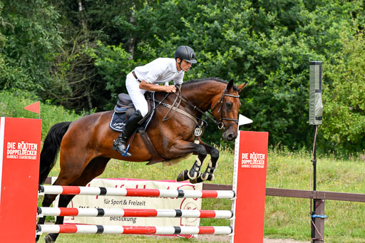 Springpferde L 5j