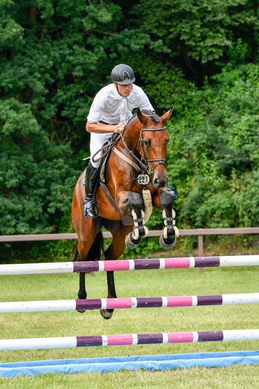 Reitturnier Harburger RV  16.7.2021 | 16072021 Springpferde L 5J_029-2 