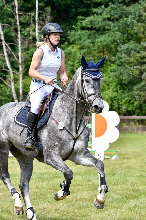 Reitturnier Harburger RV  16.7.2021 | 16072021 Springpferde L 5J_035-2 