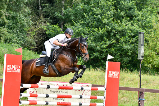 Reitturnier Harburger RV  16.7.2021 | 16072021 Springpferde L 5J_037-2 
