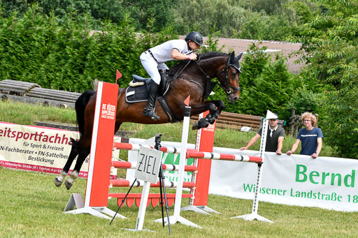 Reitturnier Harburger RV  16.7.2021 | 16072021 Springpferde L 5J_038-2 