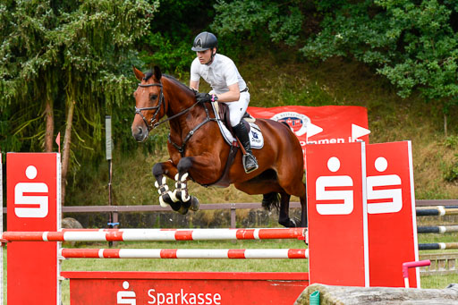 Reitturnier Harburger RV  16.7.2021 | 16072021 Springpferde L 5J_047-2 