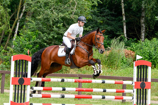 Reitturnier Harburger RV  16.7.2021 | 16072021 Springpferde L 5J_049-2 
