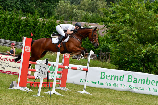 Reitturnier Harburger RV  16.7.2021 | 16072021 Springpferde L 5J_050-2 