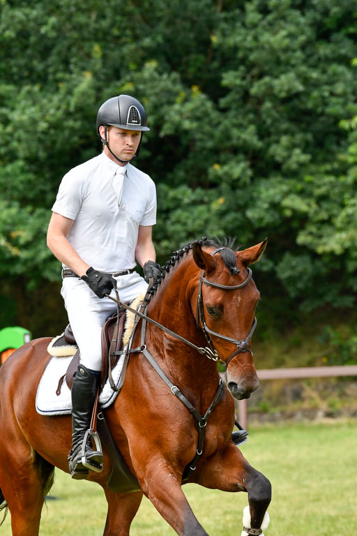 Reitturnier Harburger RV  16.7.2021 | 16072021 Springpferde L 5J_052-2 