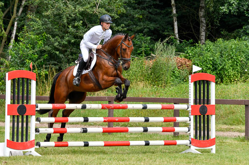 Reitturnier Harburger RV  16.7.2021 | 16072021 Springpferde L 5J_055-2 