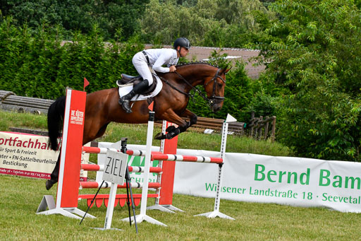 Reitturnier Harburger RV  16.7.2021 | 16072021 Springpferde L 5J_056-2 