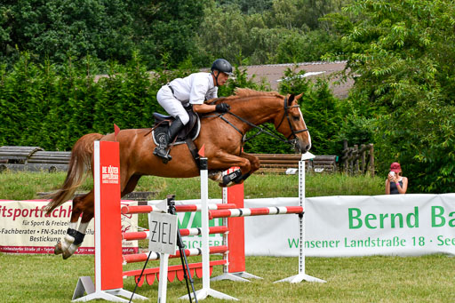 Reitturnier Harburger RV  16.7.2021 | 16072021 Springpferde L 5J_062-2 