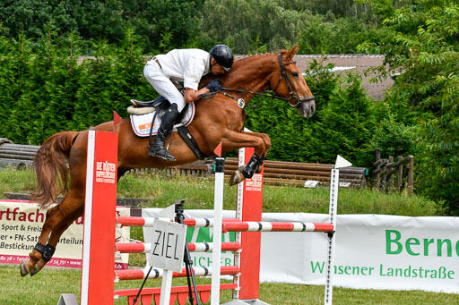 Reitturnier Harburger RV  16.7.2021 | 16072021 Springpferde L 5J_065-2 