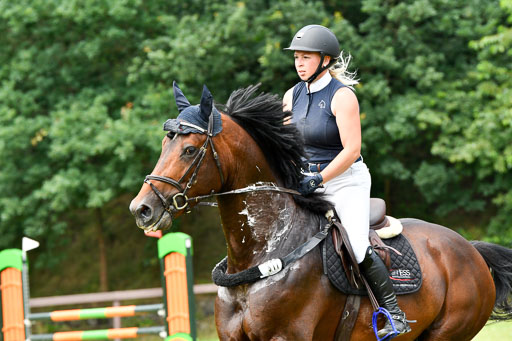 Reitturnier Harburger RV  16.7.2021 | 16072021 Springpferde L 5J_070-2 