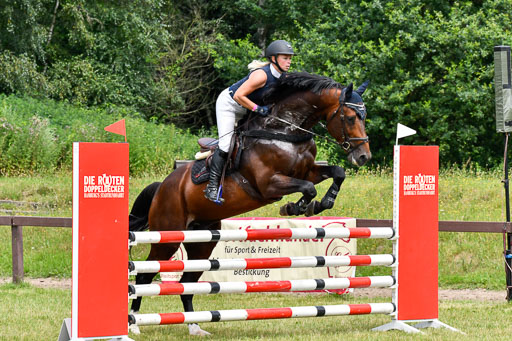 Reitturnier Harburger RV  16.7.2021 | 16072021 Springpferde L 5J_072-2 