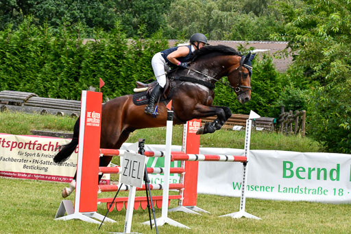 Reitturnier Harburger RV  16.7.2021 | 16072021 Springpferde L 5J_073-2 