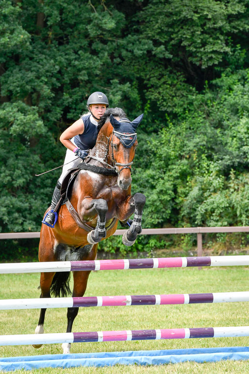 Reitturnier Harburger RV  16.7.2021 | 16072021 Springpferde L 5J_074-2 