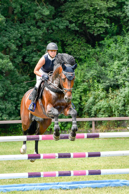 Reitturnier Harburger RV  16.7.2021 | 16072021 Springpferde L 5J_075-2 