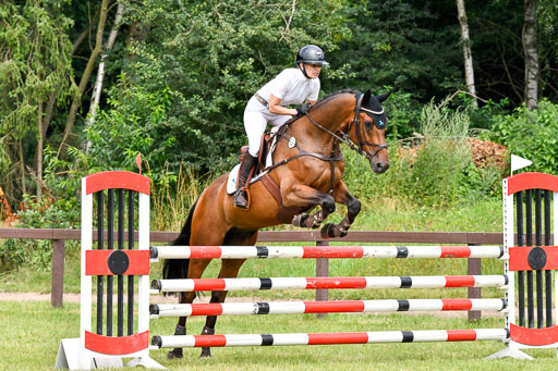 Reitturnier Harburger RV  16.7.2021 | 16072021 Springpferde L 5J_077-2 