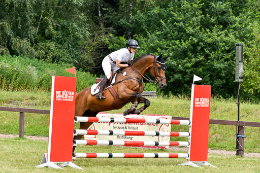 Reitturnier Harburger RV  16.7.2021 | 16072021 Springpferde L 5J_078-2 
