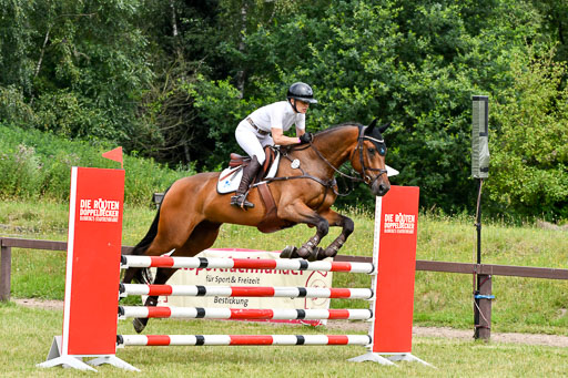 Reitturnier Harburger RV  16.7.2021 | 16072021 Springpferde L 5J_079-2 