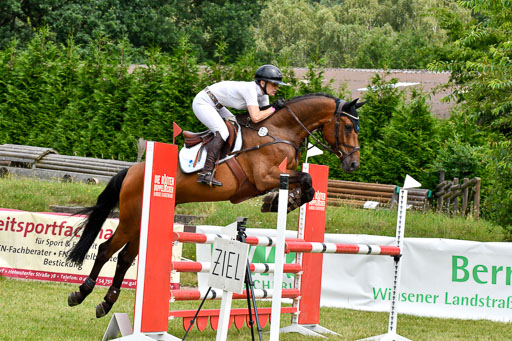 Reitturnier Harburger RV  16.7.2021 | 16072021 Springpferde L 5J_080-2 