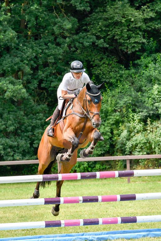 Reitturnier Harburger RV  16.7.2021 | 16072021 Springpferde L 5J_082-2 