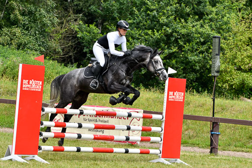 Reitturnier Harburger RV  16.7.2021 | 16072021 Springpferde L 5J_086-2 