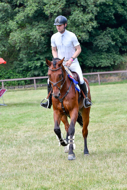 Reitturnier Harburger RV  16.7.2021 | 16072021 Springpferde L 5J_100-2 