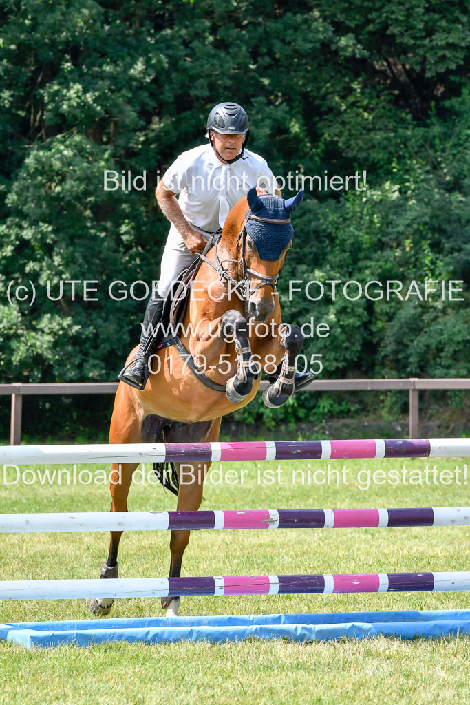 Reitturnier Harburger RV  16.7.2021 | 16072021 Springpferde L 6+7J_019-2 