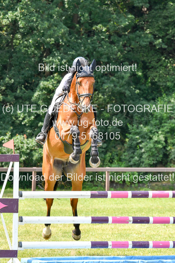 Reitturnier Harburger RV  16.7.2021 | 16072021 Springpferde L 6+7J_033-2 