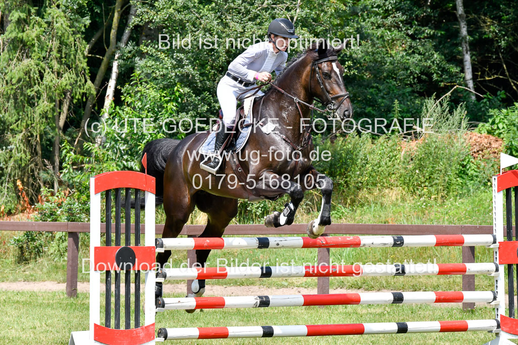 Reitturnier Harburger RV  16.7.2021 | 16072021 Springpferde L 6+7J_038-2 
