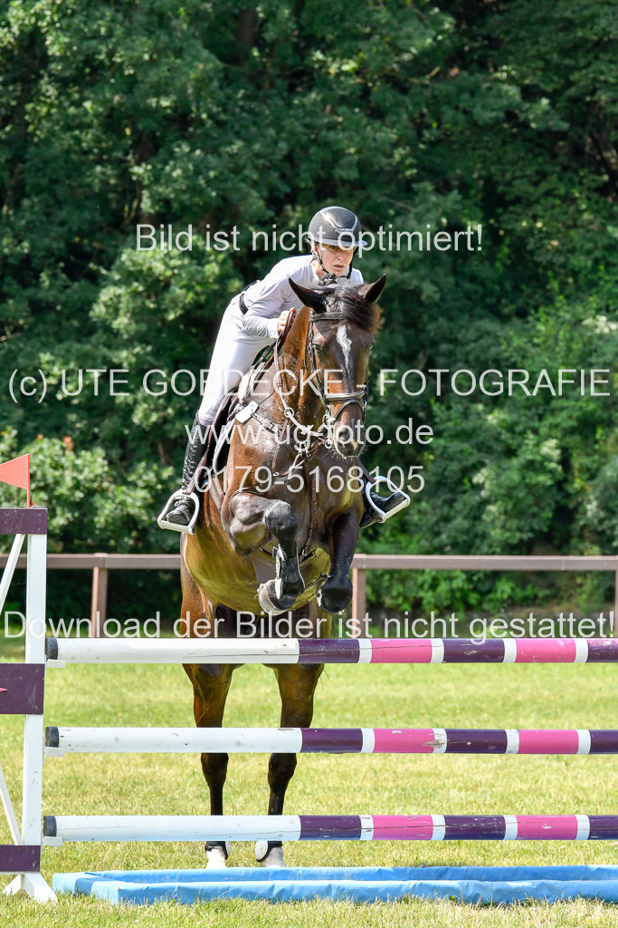 Reitturnier Harburger RV  16.7.2021 | 16072021 Springpferde L 6+7J_041-2 