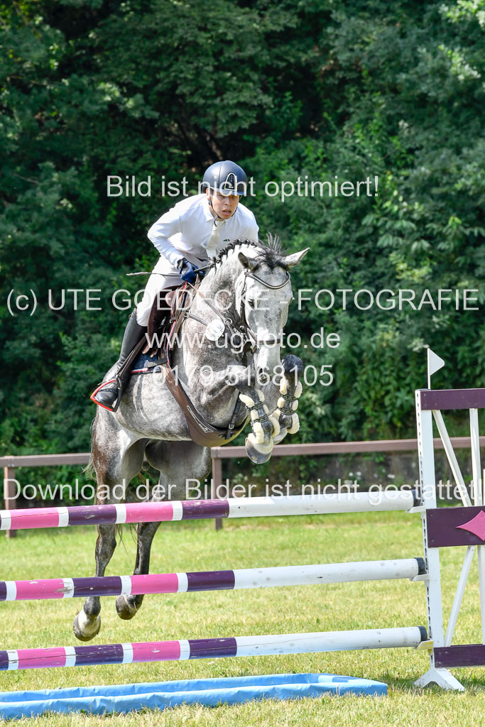 Reitturnier Harburger RV  16.7.2021 | 16072021 Springpferde L 6+7J_068-2 