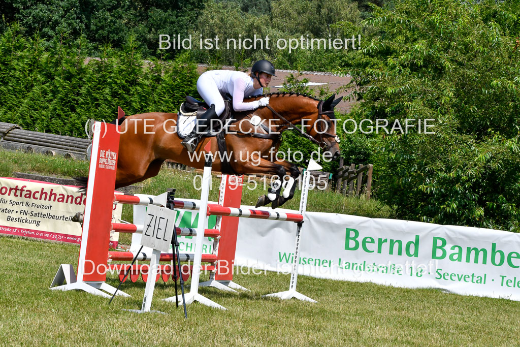 Reitturnier Harburger RV  16.7.2021 | 16072021 Springpferde L 6+7J_078-2 