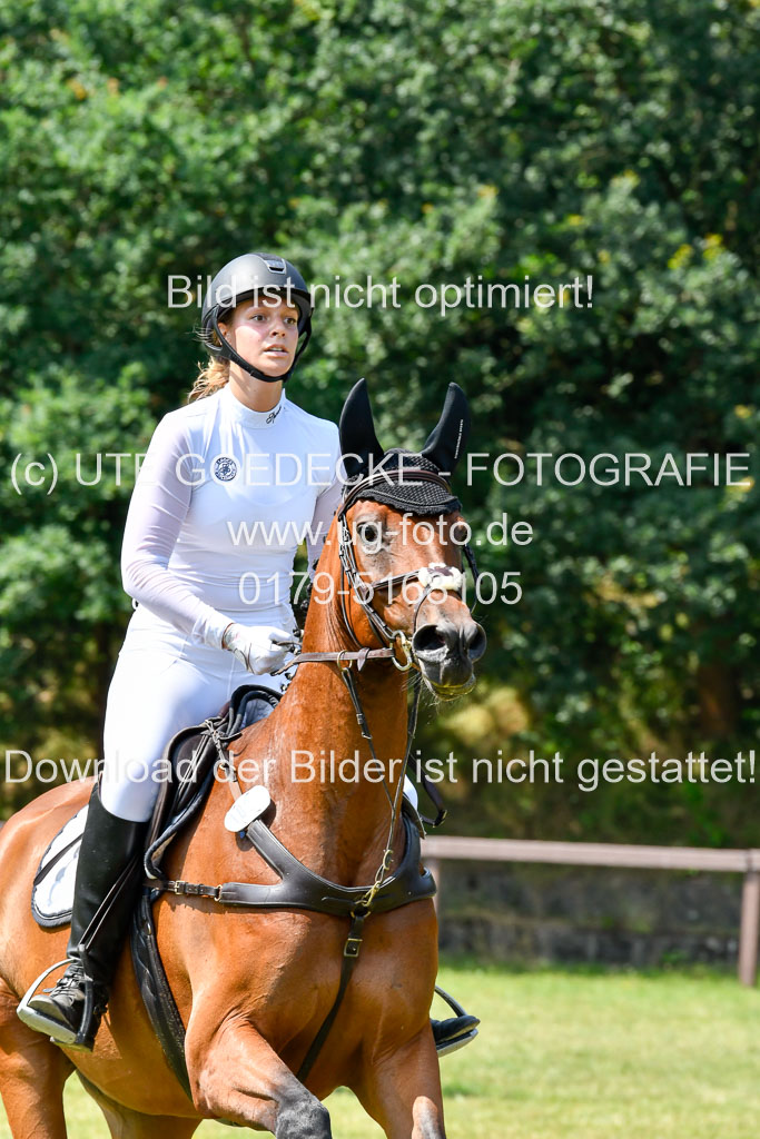 Reitturnier Harburger RV  16.7.2021 | 16072021 Springpferde L 6+7J_080-2 