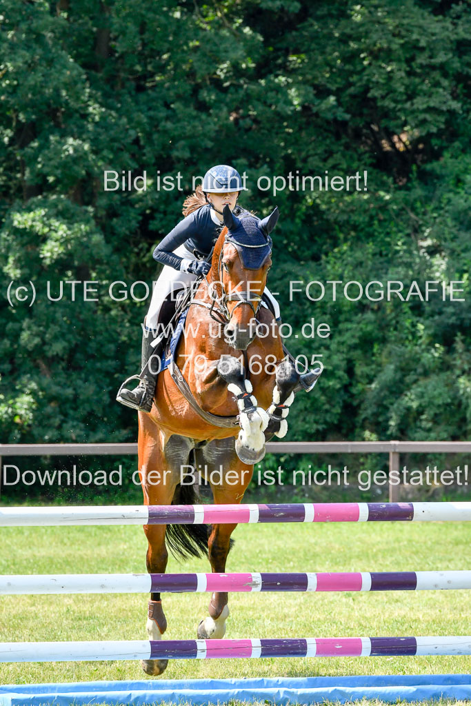 Reitturnier Harburger RV  16.7.2021 | 16072021 Springpferde L 6+7J_085-2 