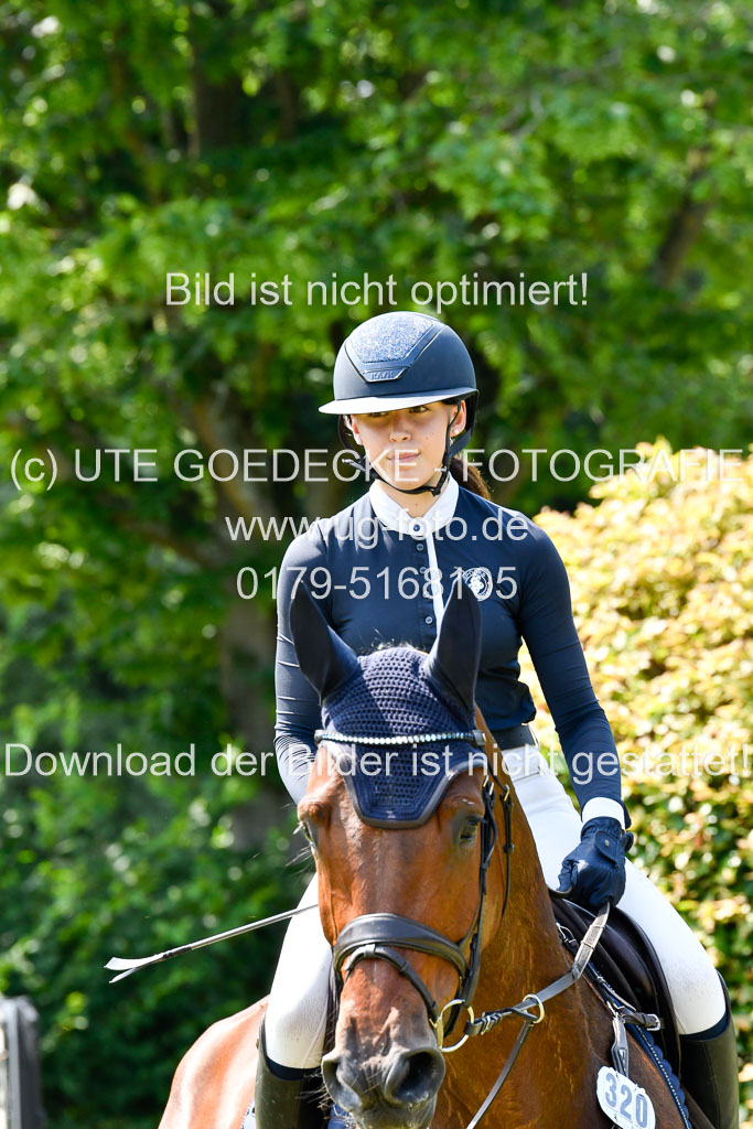 Reitturnier Harburger RV  16.7.2021 | 16072021 Springpferde L 6+7J_088-2 